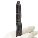 IWC IWC ブラック サントーニ社製クロコバンド 腕時計パーツ 純正 替え クロコ バンド レザー ベルト ストラップ 22mm ブラック 黒