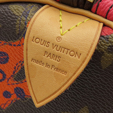 ルイヴィトン LOUIS VUITTON ラマージュ スピーディ30 M41527 モノグラムラマージュ モノグラムキャンバス ハンドバッグ ゴールド金具 茶 ボストン パドロック・鍵の欠品