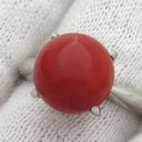 ノンブランド NON BRAND 珊瑚リング プラチナシルバー Pt900 珊瑚 リング 指輪 赤 サンゴ 15号