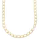 TASAKI TASAKI パールホワイト パール シルバー ネックレス 真珠 パール 一連 SV シルバー