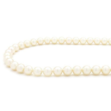 TASAKI TASAKI パールホワイト パール シルバー ネックレス 真珠 パール 一連 SV シルバー