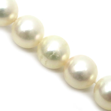 TASAKI TASAKI パールホワイト パール シルバー ネックレス 真珠 パール 一連 SV シルバー