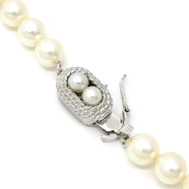 TASAKI TASAKI パールホワイト パール シルバー ネックレス 真珠 パール 一連 SV シルバー