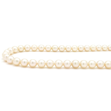 TASAKI TASAKI パールホワイト×シルバー パール シルバー ネックレス 真珠 パール 一連 SV シルバー