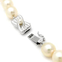 TASAKI TASAKI パールホワイト×シルバー パール シルバー ネックレス 真珠 パール 一連 SV シルバー