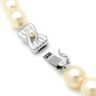 TASAKI TASAKI パールホワイト×シルバー パール シルバー ネックレス 真珠 パール 一連 SV シルバー