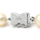 TASAKI TASAKI パールホワイト×シルバー パール シルバー ネックレス 真珠 パール 一連 SV シルバー