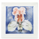 マイセン MEISSEN カトレヤ 陶板画 ホワイト×ブルー×レッド 陶磁器 オブジェ 白 青 赤 カトレア 絵画 陶磁器絵付け 陶板 置物 蘭 花