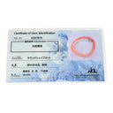 ノンブランド NON BRAND コーラル ペンダント オレンジ×ホワイト 珊瑚 シルバー ネックレス サンゴ さんご 珊瑚 silver ピンク 桜色 桃色 エンジェルスキン