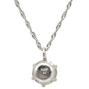 ノンブランド NON BRAND ダイヤペンダント プラチナシルバー Pt850 ダイヤモンド Pt999(トップ) ネックレス 1P 1粒