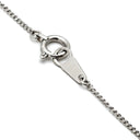 ノンブランド NON BRAND ダイヤペンダント プラチナシルバー Pt850 ダイヤモンド Pt900(トップ) ネックレス 1P 1粒