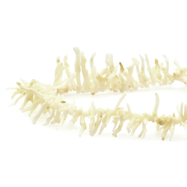 ノンブランド NON BRAND 珊瑚 サンゴ ホワイト メタル 珊瑚 ネックレス 白