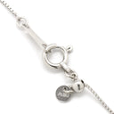 ノンブランド NON BRAND ダイヤ ペンダント プラチナシルバー Pt850 ダイヤモンド Pt999(トップ) ネックレス Pt999 1P 1粒 ダイヤモンド