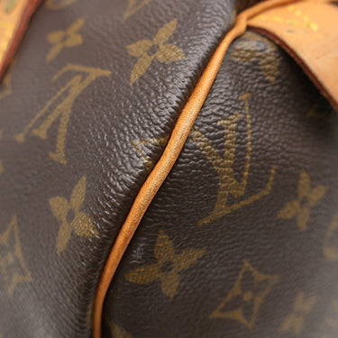 ルイヴィトン LOUIS VUITTON スピーディ 30 M41526 モノグラム モノグラムキャンバス ハンドバッグ ゴールド金具 茶 ミニボストン 鍵・パドロック欠品