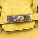 エルメス HERMES バーキン25 ミモザ オーストリッチ ハンドバッグ シルバー金具 黄色