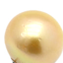 ノンブランド NON BRAND パールピアス プラチナシルバー Pt900 パール ピアス 白蝶 ゴールデン パール ゴールドパール プラチナ