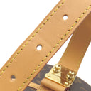 ルイヴィトン LOUIS VUITTON プティット ボワット シャポール M43514 モノグラム モノグラムキャンバス 2WAYバッグ ゴールド金具 茶 ショルダー