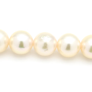 ノンブランド NON BRAND アコヤパール ネックレス パールホワイト パール シルバー ネックレス ホワイト 真珠 パール