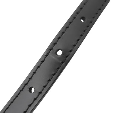 ルイヴィトン LOUIS VUITTON カンヌ M48032 ブラック エピレザー ハンドバッグ シルバー金具 黒 バニティバッグ 鍵欠品