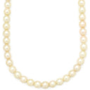 ノンブランド NON BRAND パールホワイト シルバー パール ネックレス ホワイトパール アコヤパール 真珠 あこやパール silver シルバー ラウンドシェイプ