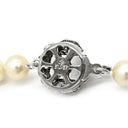 ノンブランド NON BRAND パールホワイト シルバー パール ネックレス ホワイトパール アコヤパール 真珠 あこやパール silver シルバー ラウンドシェイプ