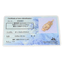 ノンブランド NON BRAND パパラチアサファイア 0.235ct ダイヤ 0.13ct イエローゴールド K18YG ダイヤモンド パパラチアサファイア ペンダントトップ K18 大仏 ブッダ 仏頭 坂元亜郎 ハンドメイド