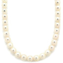 TASAKI TASAKI パールホワイト×シルバー パール シルバー ネックレス 真珠 タサキ パール 一連 SV シルバー