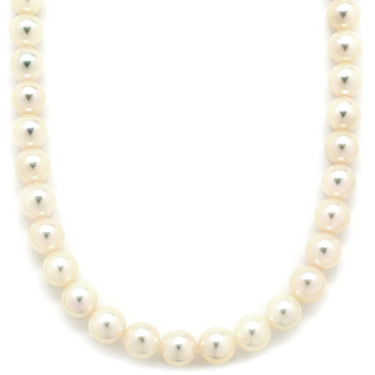 TASAKI TASAKI パールホワイト×シルバー パール シルバー ネックレス 真珠 タサキ パール 一連 SV シルバー