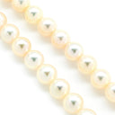 TASAKI TASAKI パールホワイト×シルバー パール シルバー ネックレス 真珠 タサキ パール 一連 SV シルバー
