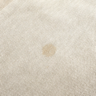 エルメス HERMES バーキン25 グリフォンセ リザード ハンドバッグ シルバー金具