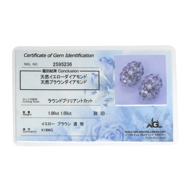 ノンブランド NON BRAND ダイヤピアス ホワイトゴールド K18WG ダイヤモンド ピアス 18K Au750 WG 両耳用 フラワー クラスターデザイン1.00ct ブラウンダイヤ イエローダイヤ