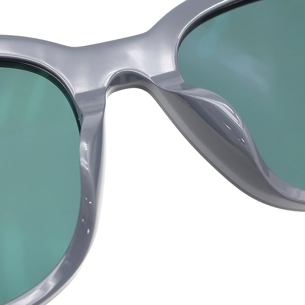 ルイヴィトン LOUIS VUITTON アウタースペース 53□21 Z1093E グレー