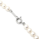 TASAKI TASAKI 淡水パールネックレス パールホワイト×シルバー パール シルバー925 ネックレス 真珠 タサキ パール 一連 SV シルバー 925 42.5cm