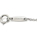 ティファニー Tiffany & Co バイザヤード シングルダイヤモンド ペンダント プラチナシルバー Pt950 ダイヤモンド ネックレス T&Co. 1P 1石 1粒 ソリテール Pt950 エルサペレッティ