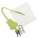 エルメス HERMES キャンディ バーキン30 キウイ×リケン ヴォーエプソン ハンドバッグ シルバー金具 黄緑 緑