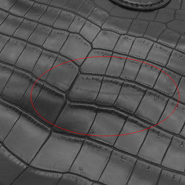 エルメス HERMES ヴェスパ TPM ブラック ニロティカス ショルダーバッグ シルバー金具 黒 クロコ