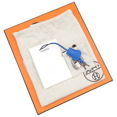 エルメス HERMES バーキン25 ブルーイドラ トゴ ハンドバッグ シルバー金具 青