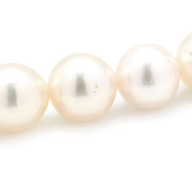 TASAKI TASAKI 8.0mm パール パールホワイト×ホワイトゴールド K14WG パール ネックレス 真珠 K14WG 一連 一重