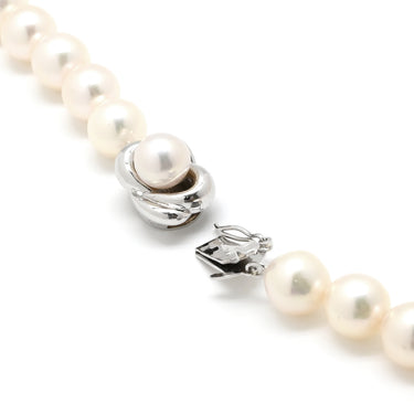 TASAKI TASAKI 8.0mm パール パールホワイト×ホワイトゴールド K14WG パール ネックレス 真珠 K14WG 一連 一重