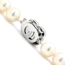 TASAKI TASAKI 8.0mm パール パールホワイト×ホワイトゴールド K14WG パール ネックレス 真珠 K14WG 一連 一重