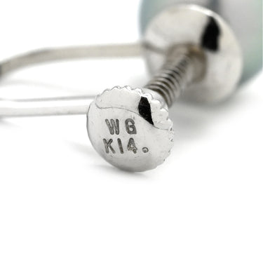 TASAKI TASAKI あこやパール ネックレス イヤリング セット パールシルバーグレー×ホワイトゴールド パール シルバー K14WG(イヤリング) ネックレス K14WG SV