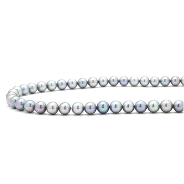 TASAKI TASAKI あこやパール ネックレス イヤリング セット パールシルバーグレー×ホワイトゴールド パール シルバー K14WG(イヤリング) ネックレス K14WG SV