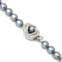 TASAKI TASAKI あこやパール ネックレス イヤリング セット パールシルバーグレー×ホワイトゴールド パール シルバー K14WG(イヤリング) ネックレス K14WG SV