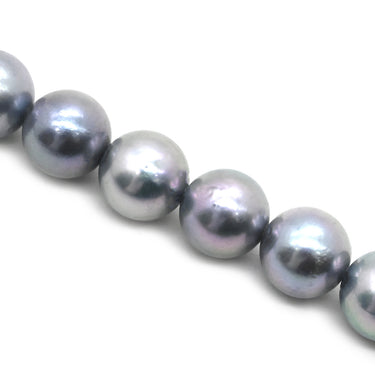 TASAKI TASAKI あこやパール ネックレス イヤリング セット パールシルバーグレー×ホワイトゴールド パール シルバー K14WG(イヤリング) ネックレス K14WG SV