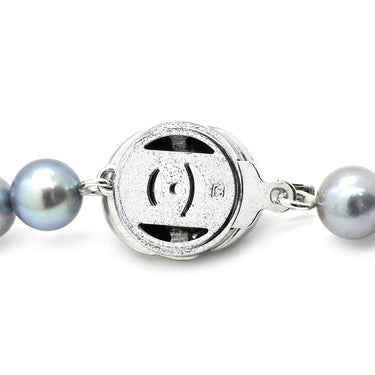 TASAKI TASAKI あこやパール ネックレス イヤリング セット パールシルバーグレー×ホワイトゴールド パール シルバー K14WG(イヤリング) ネックレス K14WG SV