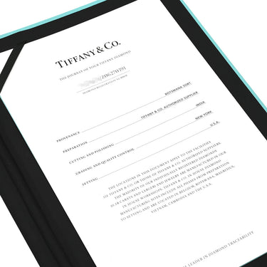 ティファニー Tiffany & Co ソリティア プリンセスカット ダイヤモンド エンゲージメント プラチナシルバー Pt950 ダイヤモンド リング 指輪 T&Co. Pt950 8号