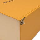 ルイヴィトン LOUIS VUITTON パピヨン トランク M57835 モノグラム モノグラムキャンバス 2WAYバッグ ゴールド金具 茶 ハンドバッグ ショルダーバッグ