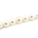 セレ CELLE ベビーパール パールホワイト×イエローゴールド K18YG パール ブレスレット CELLE 3連パール 真珠 1.3mm バングル Au750 K18 YG