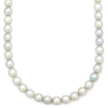 タサキ TASAKI あこやパール 7.0-7.5mm シルバーグレー シルバー パール ネックレス シルバー金具 TASAKI silver 真珠 ラウンドシェイプ