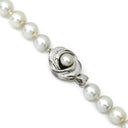 タサキ TASAKI あこやパール 7.0-7.5mm シルバーグレー シルバー パール ネックレス シルバー金具 TASAKI silver 真珠 ラウンドシェイプ